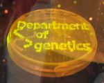 Genetics Petri Dish