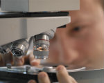 Researcher looking at sample under microscope II (from Brain Repair Centre)