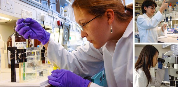 Life Sciences students at work in the Lab